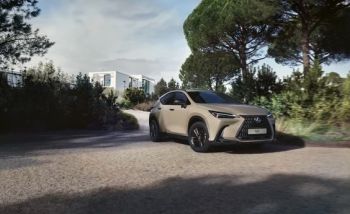 2024 Lexus NX Overtrail