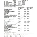 2005-05_preisliste_ssangyong_rodius.pdf